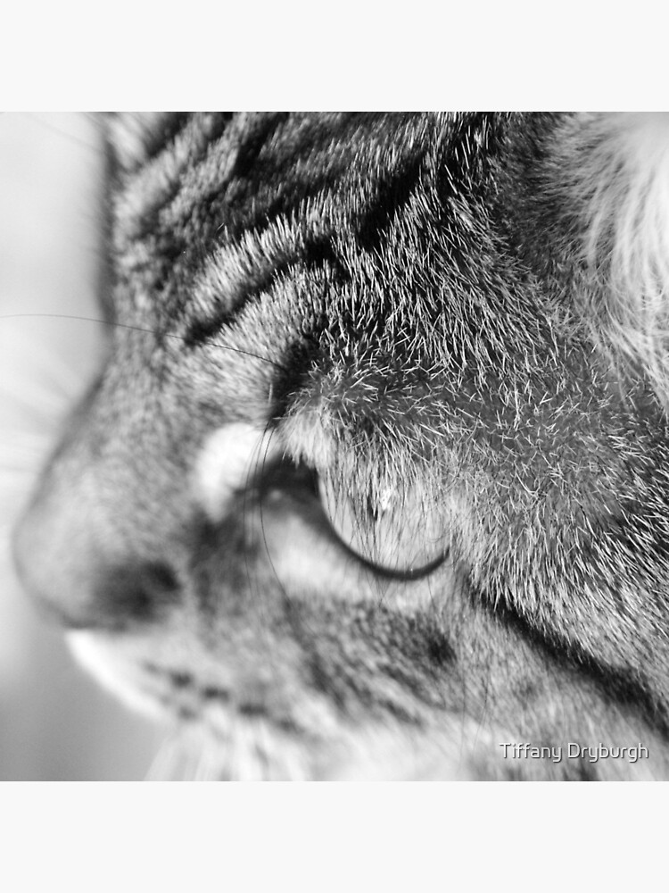 Miss Mona by Tiffany