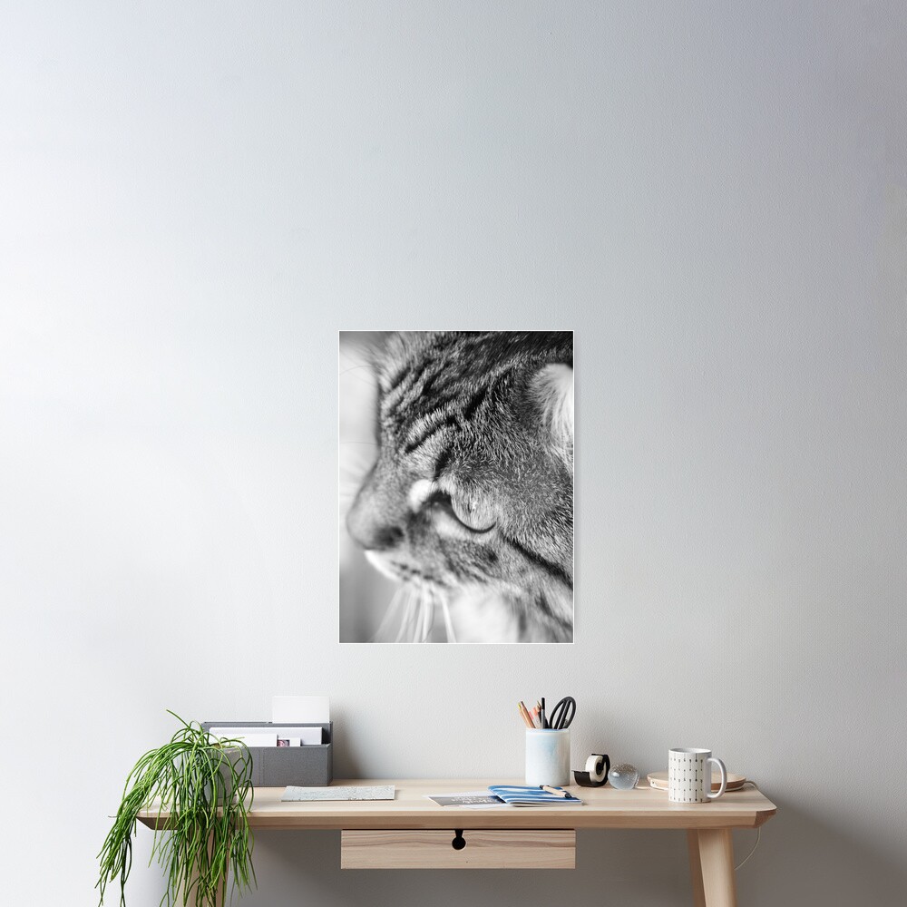 Miss Mona Poster