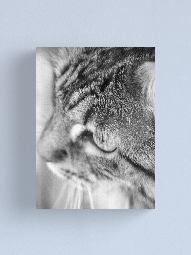 Alternate view of Miss Mona Canvas Print