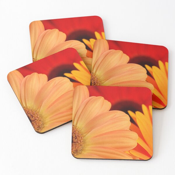 Item preview, Gerberas designed and sold by Tiffany Dryburgh.