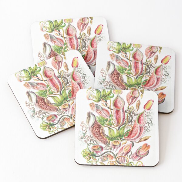 Item preview, Vintage Botanical, Pitcher Plant designed and sold by Enthusium.