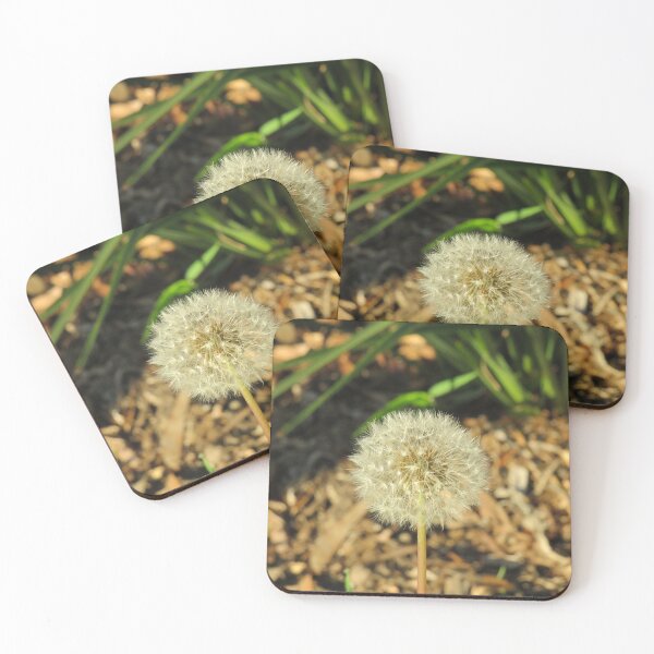 Item preview, Dandelion seeds designed and sold by greentiger1.