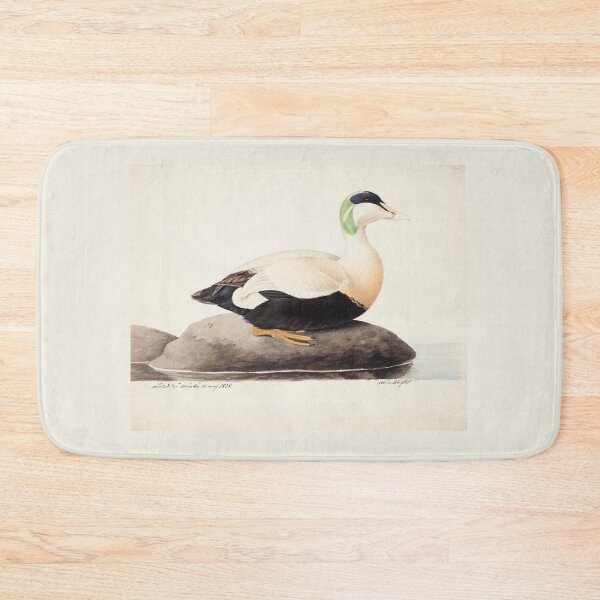 Item preview, Male Common Eider by Magnus von Wright designed and sold by Amanda1775.