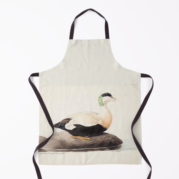 Item preview, Male Common Eider by Magnus von Wright designed and sold by Amanda1775.