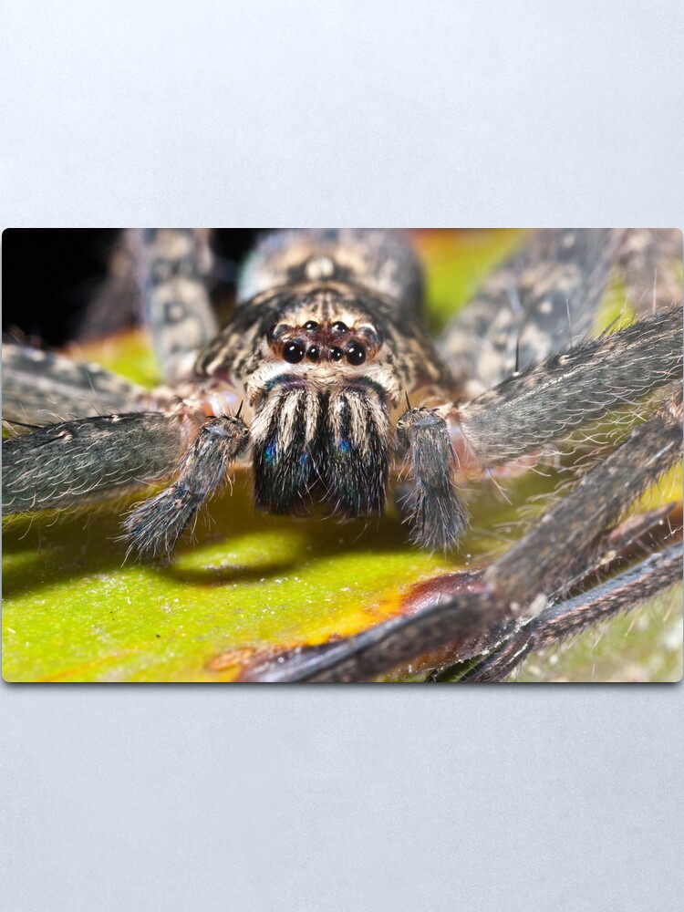 Alternate view of Moustached hunter Metal Print