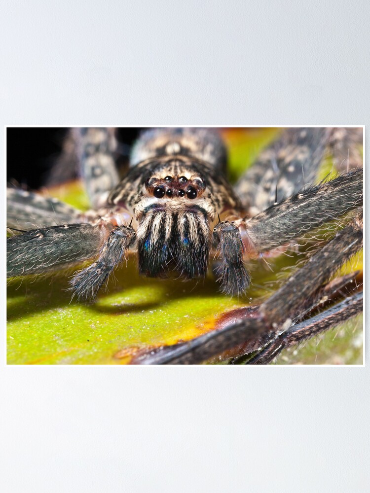 Alternate view of Moustached hunter Poster