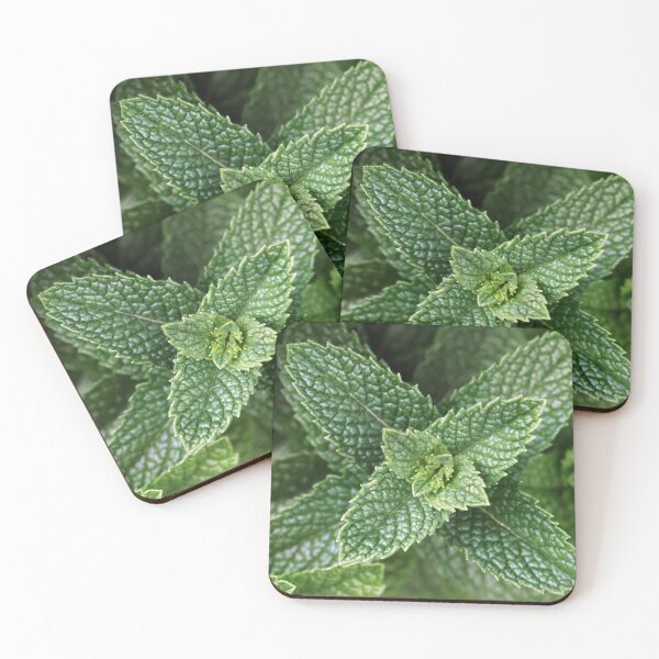 Item preview, Minty Fresh designed and sold by Tiffany Dryburgh.