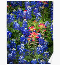 Red White And Blue Poster