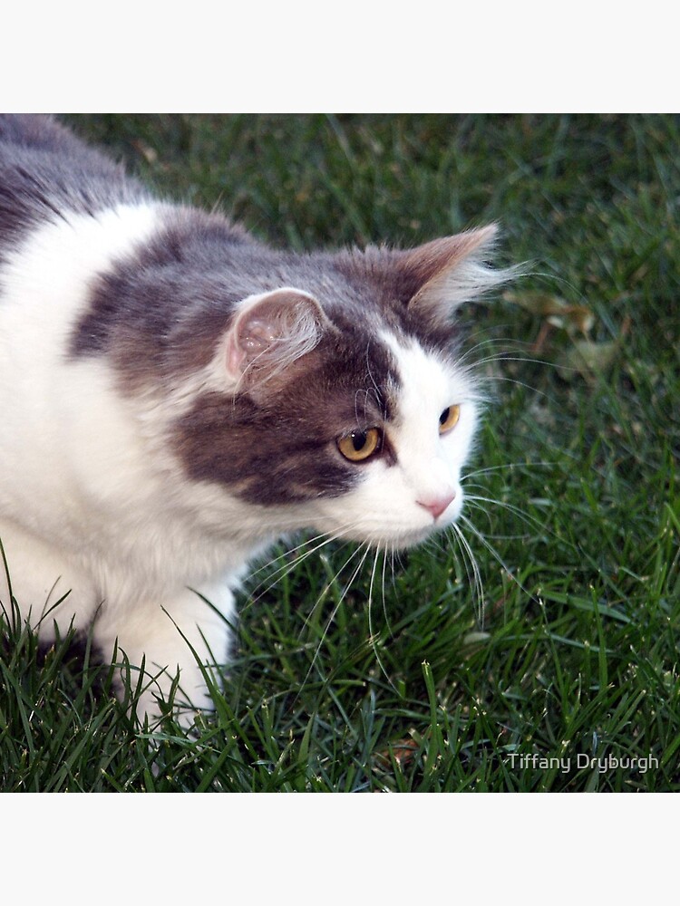 The Hunter by Tiffany