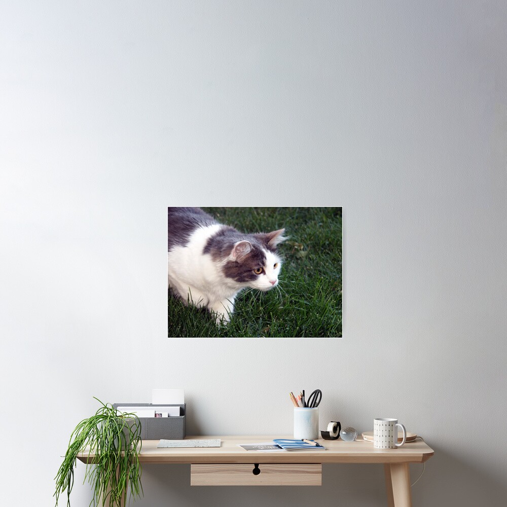 The Hunter Poster