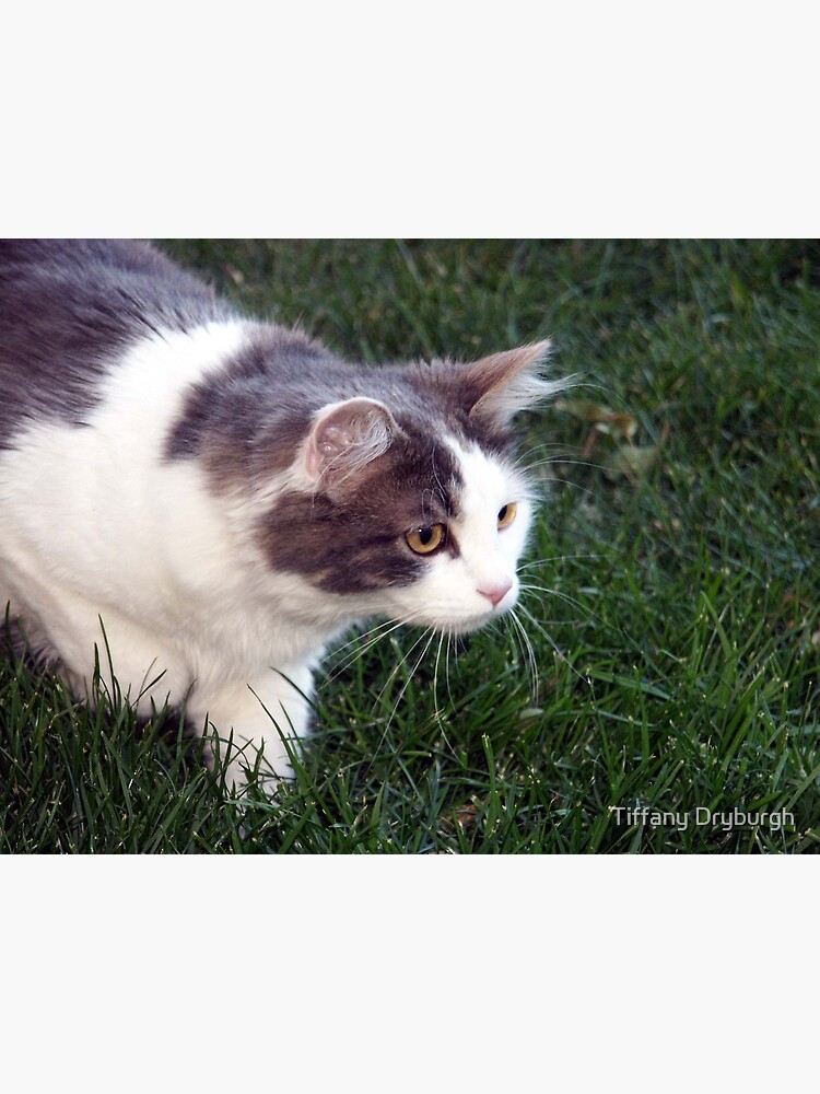 The Hunter by Tiffany