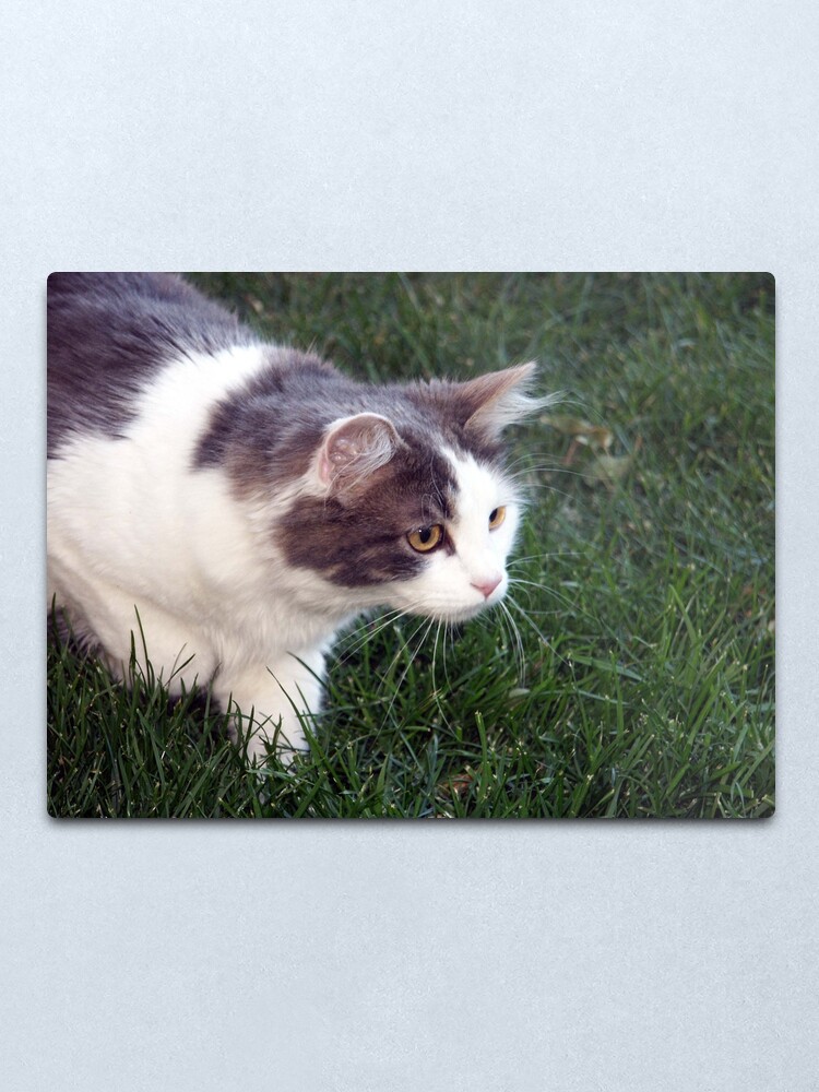 Alternate view of The Hunter Metal Print