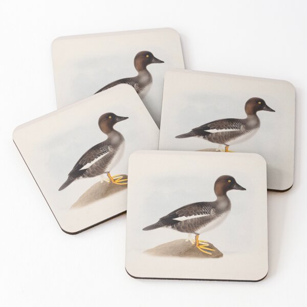 Item preview, Common Goldeneye by Magnus von Wright designed and sold by Amanda1775.
