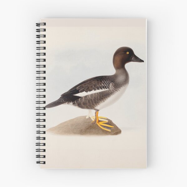 Item preview, Common Goldeneye by Magnus von Wright designed and sold by Amanda1775.