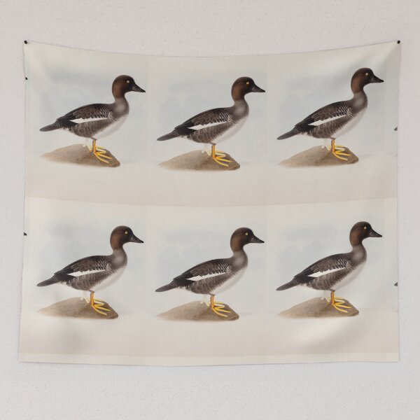 Item preview, Common Goldeneye by Magnus von Wright designed and sold by Amanda1775.