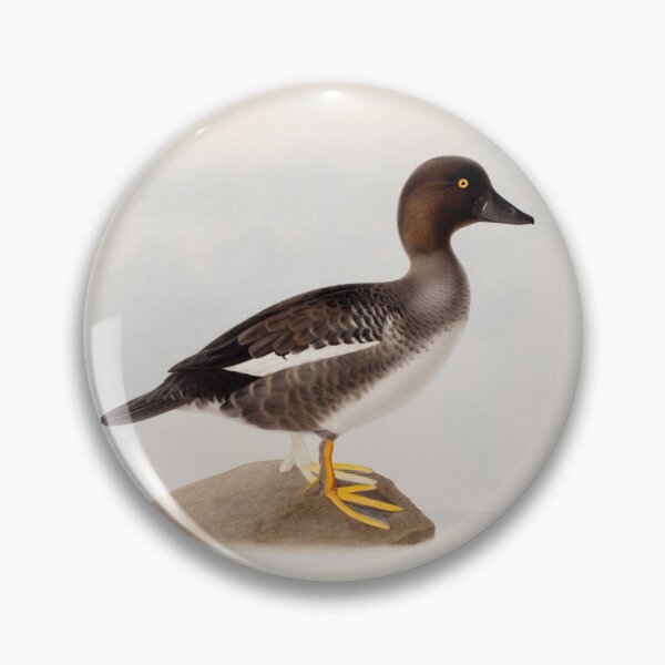 Item preview, Common Goldeneye by Magnus von Wright designed and sold by Amanda1775.