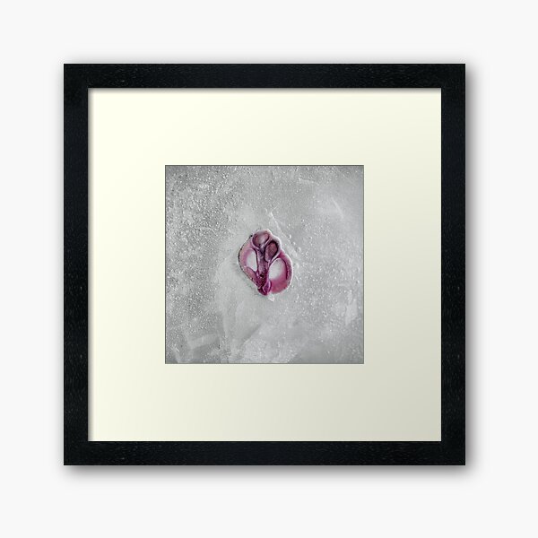 Cryogenesis II Framed Art Print