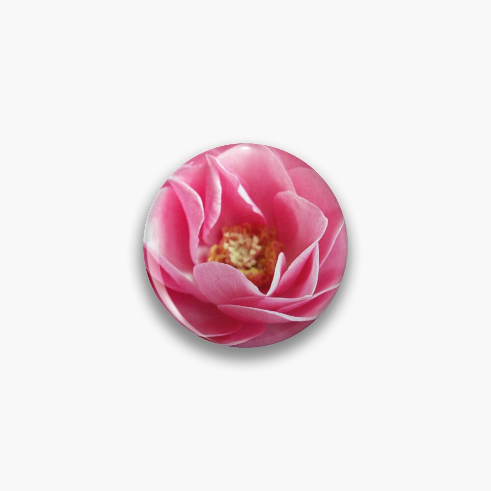 Item preview, Pin designed and sold by Tiffany.