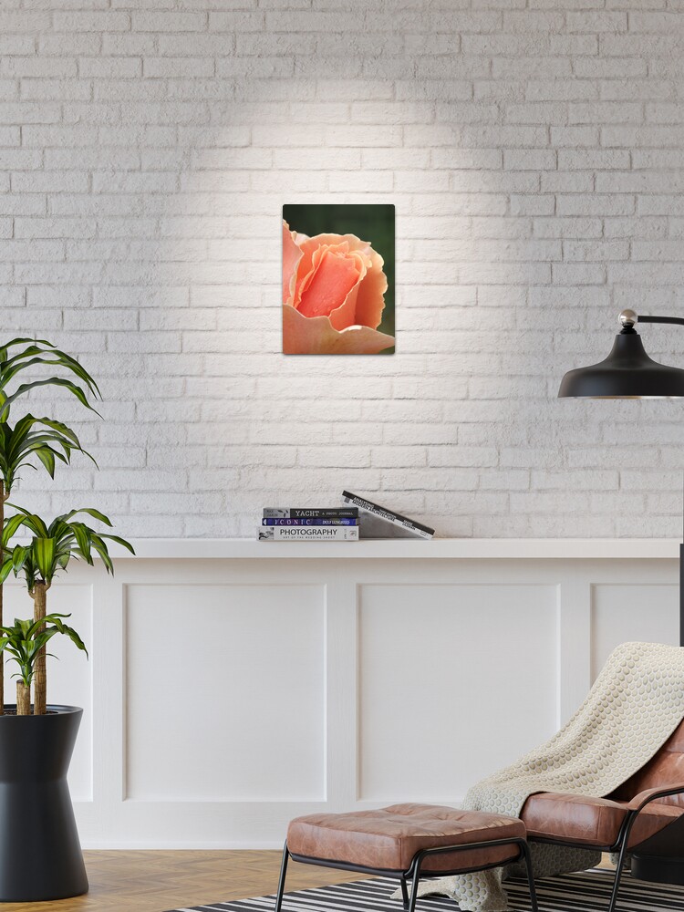 Thumbnail 1 of 4, Metal Print, Just Joey designed and sold by Tiffany Dryburgh.