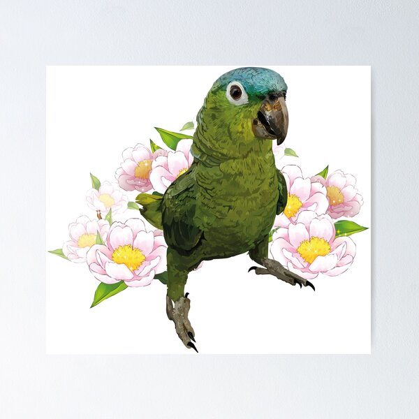 Item preview,  blue-crowned parrot designed and sold by obscurite.