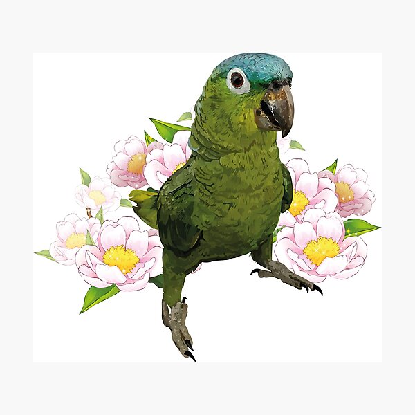 Item preview,  blue-crowned parrot designed and sold by obscurite.