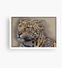 Leopard Metallbild
