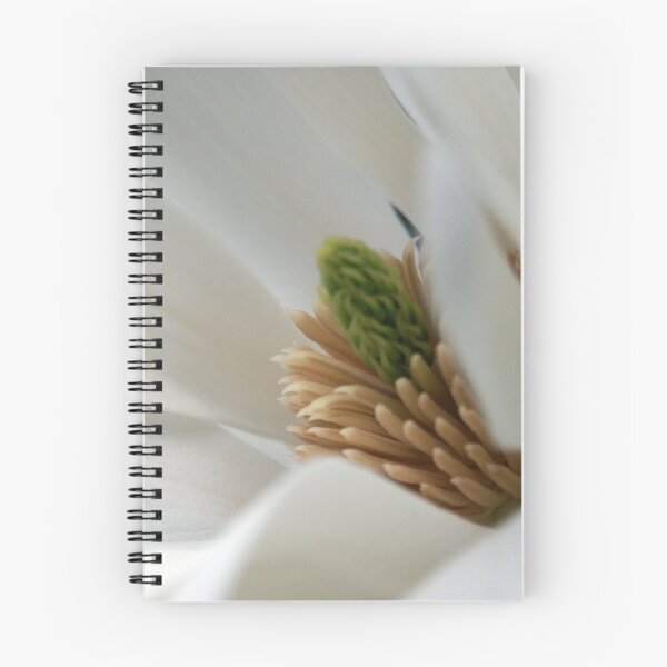 Item preview, Interior designed and sold by Tiffany Dryburgh.