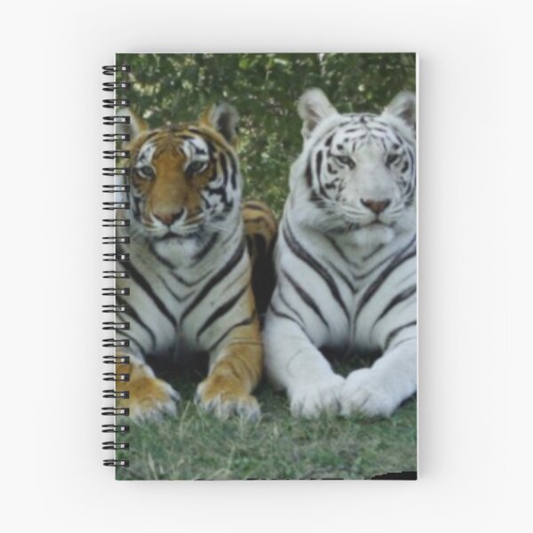 Item preview, FOUR AWESOME BEAUTIFUL TIGERS designed and sold by THE AMERICAN TEEVANGELIST.