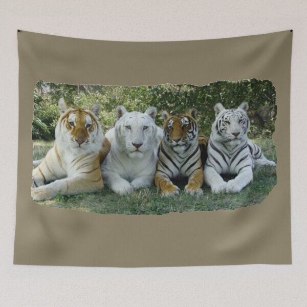 Item preview, FOUR AWESOME BEAUTIFUL TIGERS designed and sold by THE AMERICAN TEEVANGELIST.
