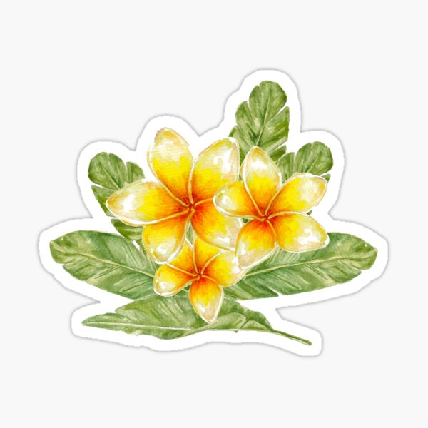 Plumeria flowers and banana leaves Sticker