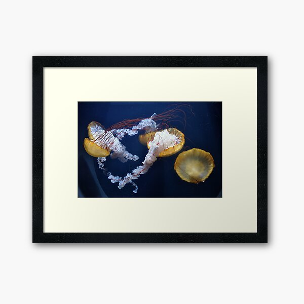Eternal Framed Art Print