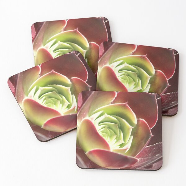 Item preview, Drought Resistant designed and sold by Tiffany Dryburgh.