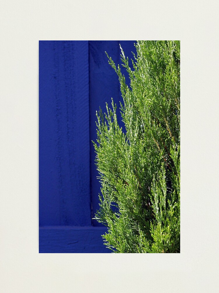 Alternate view of Blue & Green... Photographic Print