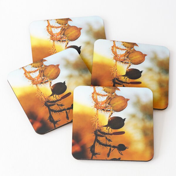 Item preview, Desert Pod Flora designed and sold by Alicia-Pilar Mogollon.