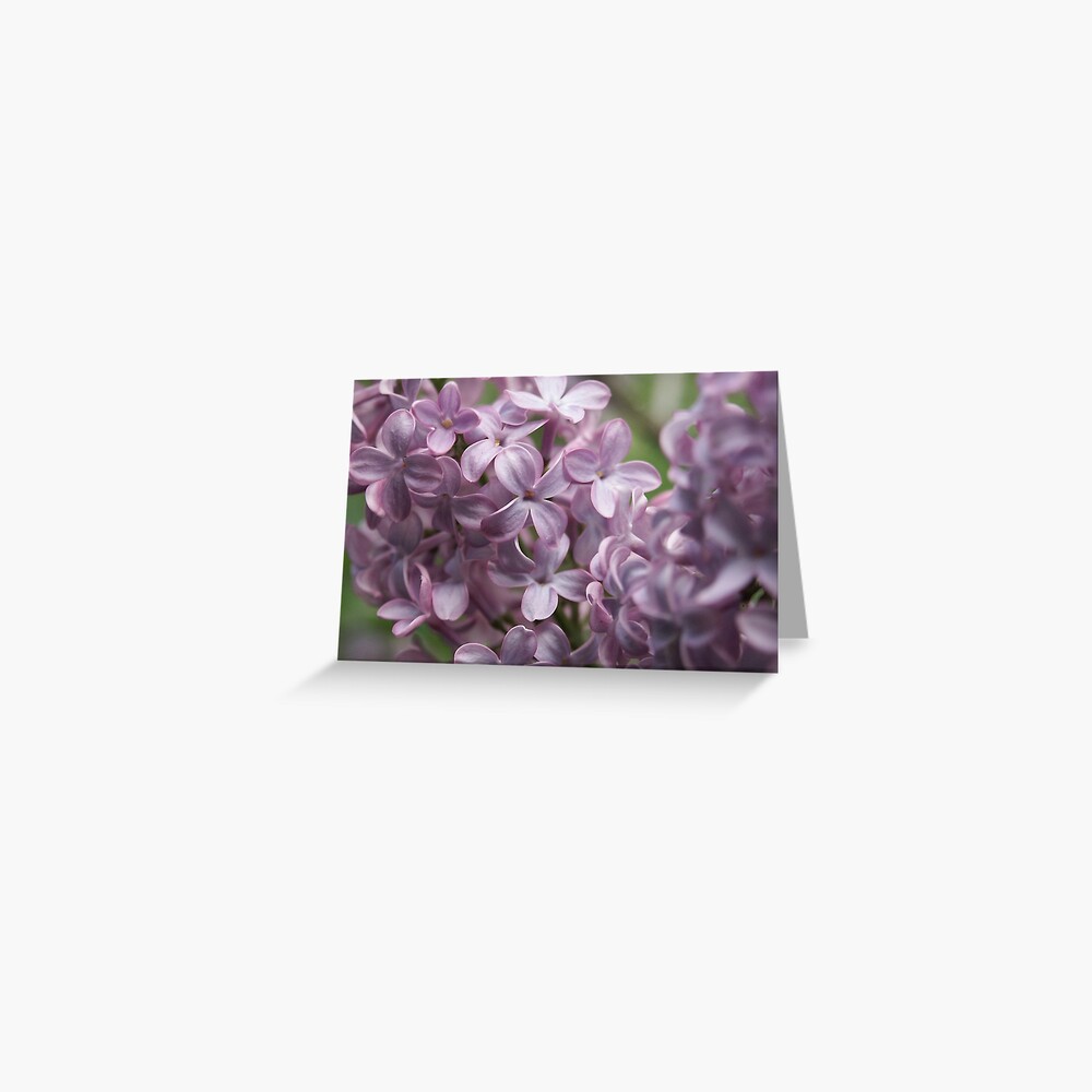 Item preview, Greeting Card designed and sold by Tiffany.