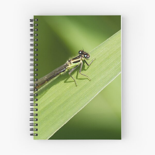 Item preview, bugging around designed and sold by Claes  Touber.