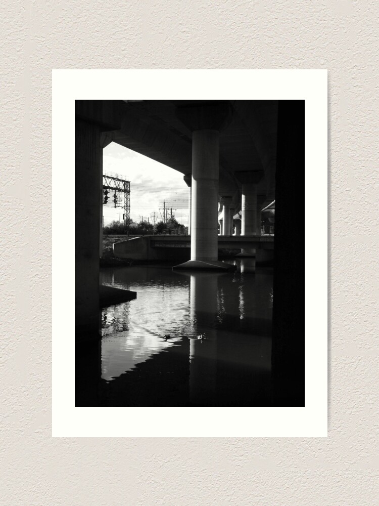 Alternate view of Two Ducks Swimming Art Print
