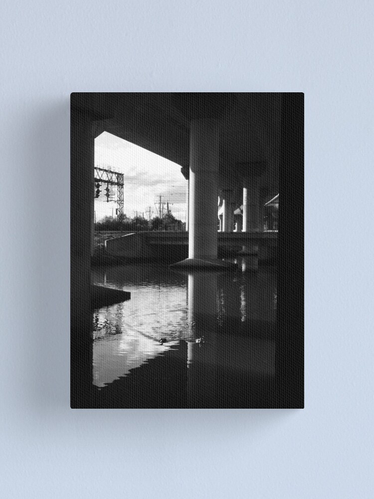 Alternate view of Two Ducks Swimming Canvas Print