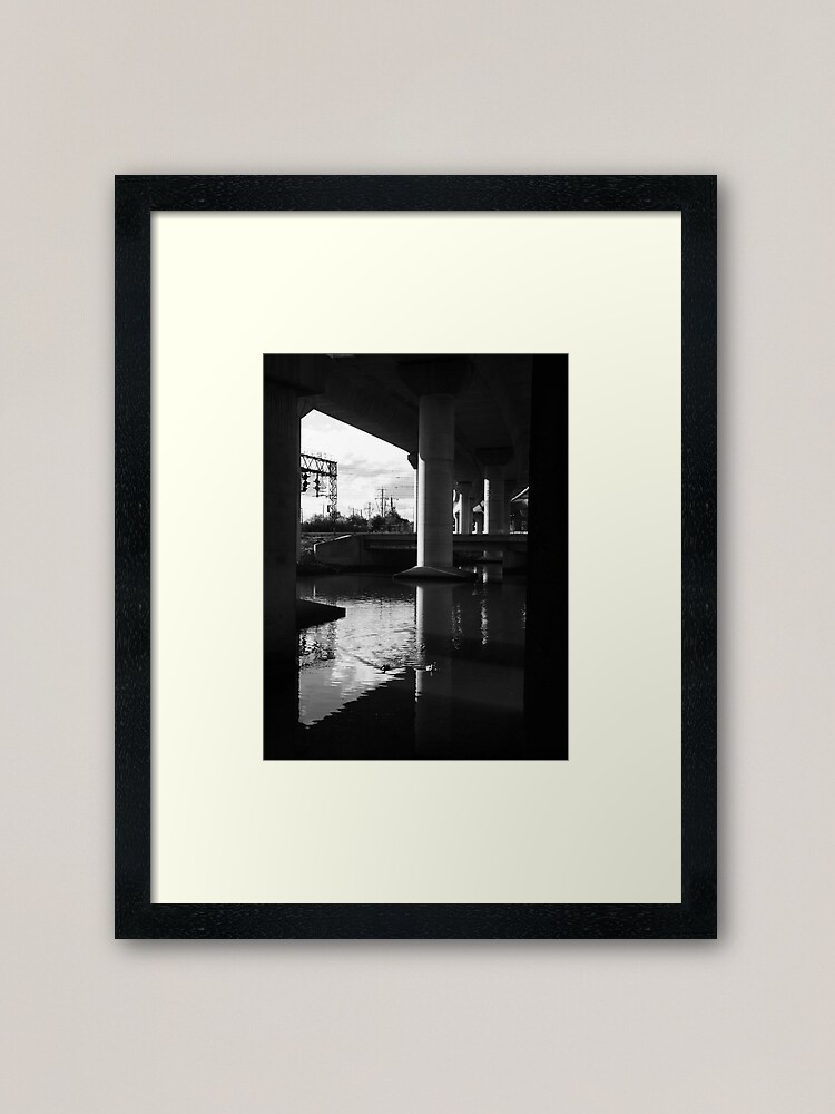 Alternate view of Two Ducks Swimming Framed Art Print