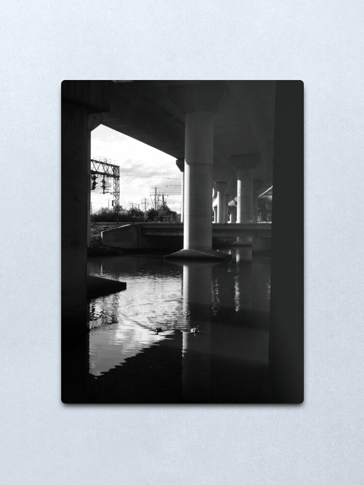 Alternate view of Two Ducks Swimming Metal Print