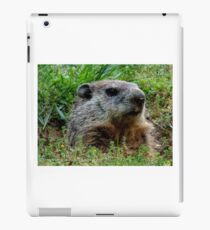 Groundhog Day iPad Case/Skin