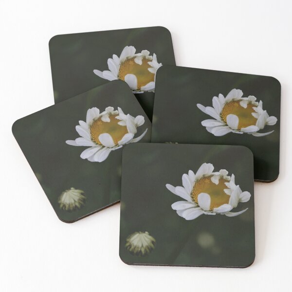 Item preview, Daisy designed and sold by Mossy Frog Witch.