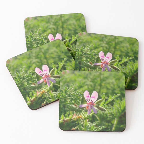 Item preview, Scented pelargonium designed and sold by greentiger1.