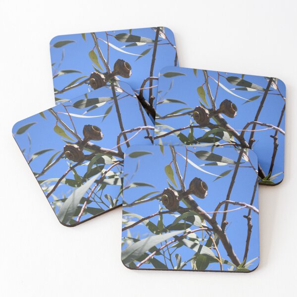 Item preview, Leaves and Fruit of an Eucalypt designed and sold by Michaela Perryman.