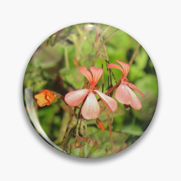 Item preview, Orange pelargonium designed and sold by greentiger1.