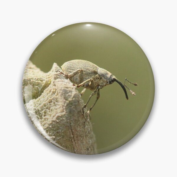 Item preview, Acorn drill designed and sold by NW-Photo-Art.