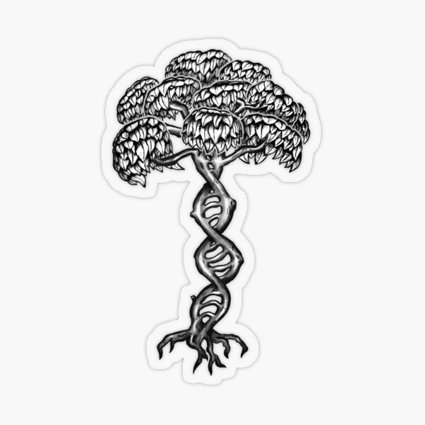 DNA Tree Transparenter Sticker