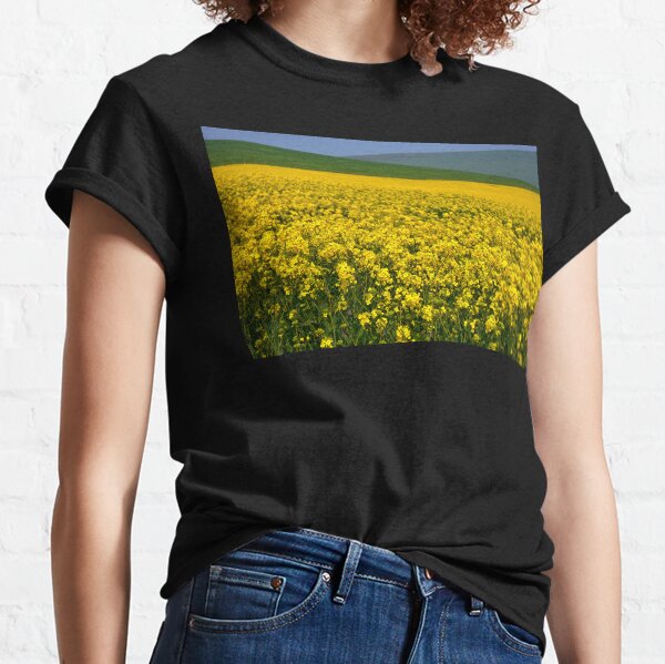 Field of Yellow Rapeseed flowers and background hills Classic T-Shirt
