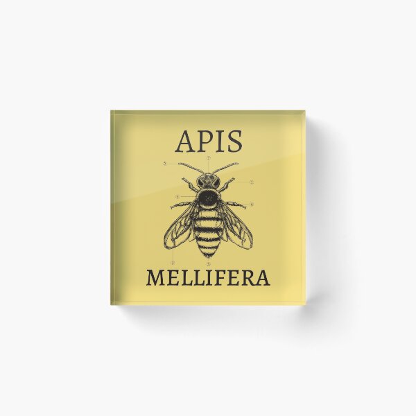 Item preview, Apis Mellifera designed and sold by magna-aranea.