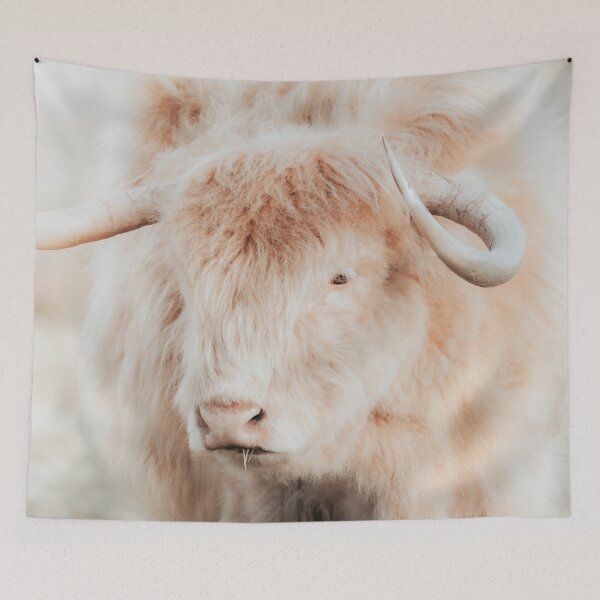 Item preview, Blond Scottish Highland Cow designed and sold by Melissa Peltenburg.